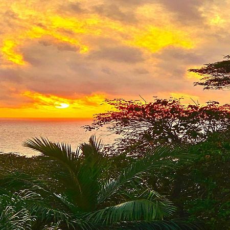 Au Lever Du Soleil Guest House Sea View Au Cap 外观 照片